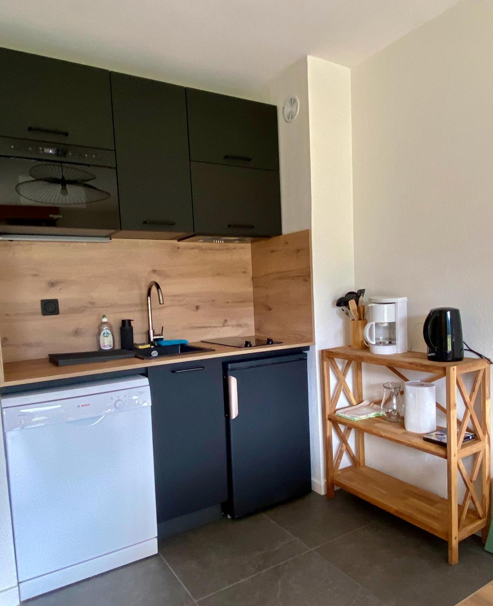 Appartement Renove T2, Vue Montagne Samoëns Kültér fotó