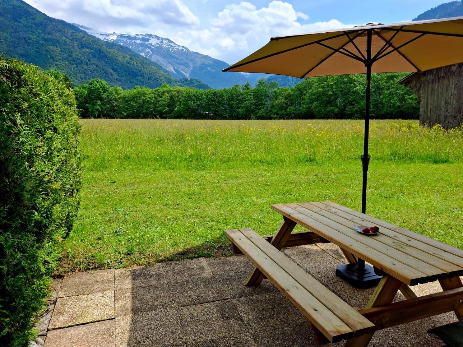 Appartement Renove T2, Vue Montagne Samoëns Kültér fotó
